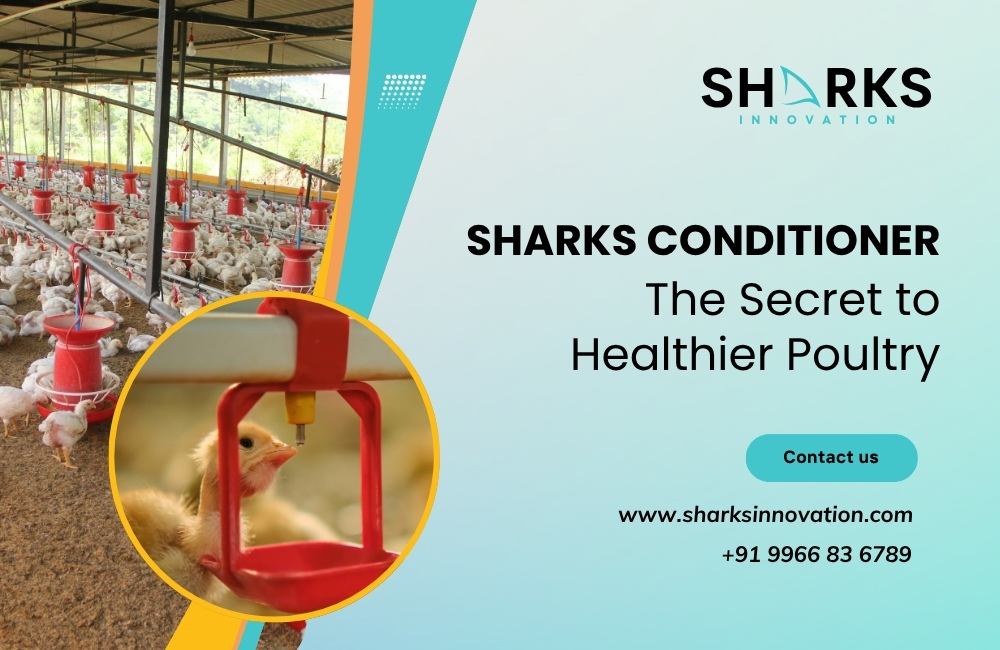 Water Conditioner in Hyderabad