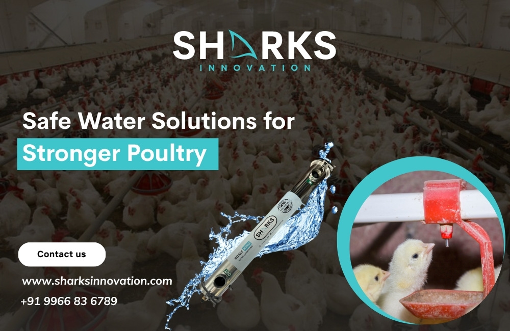 water treatment for poultry farms in Hyderabad